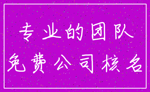 专业的团队_免费公司核名