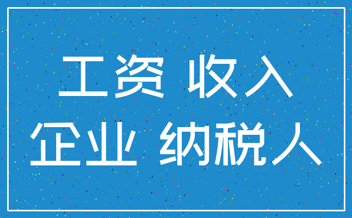 工资 收入_企业 纳税人