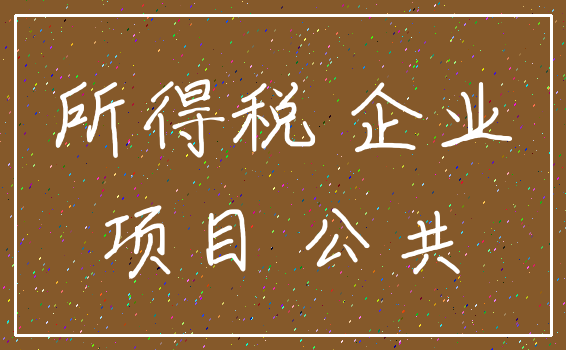 所得税 企业_项目 公共