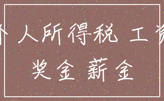 个人所得税 工资_奖金 薪金