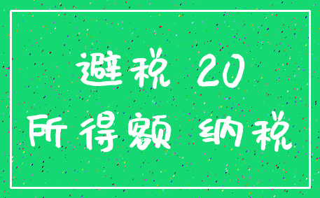 避税 20_所得额 纳税