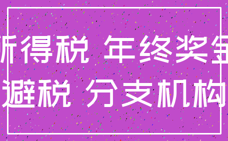 所得税 年终奖金_避税 分支机构