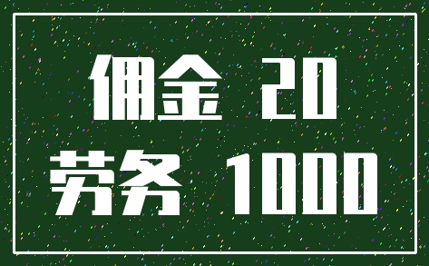 佣金 20_劳务 1000