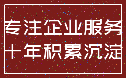专注企业服务_十年积累沉淀
