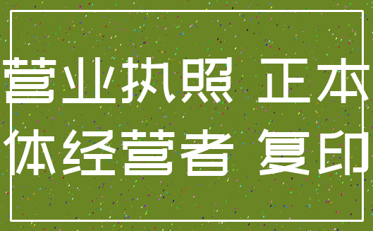 营业执照 正本_个体经营者 复印件