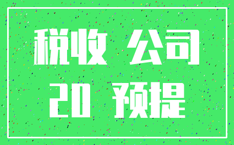 税收 公司_20 预提