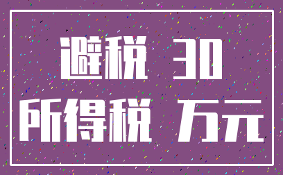 避税 30_所得税 万元