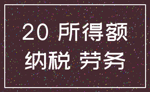 20 所得额_纳税 劳务