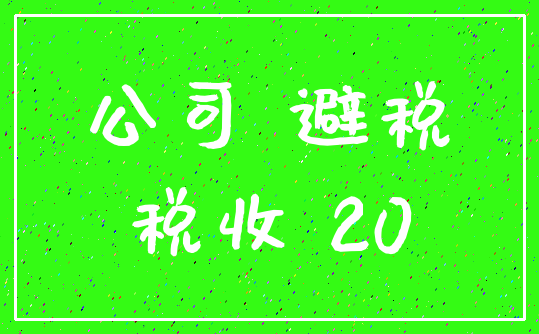 公司 避税_税收 20