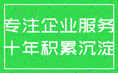 专注企业服务_十年积累沉淀