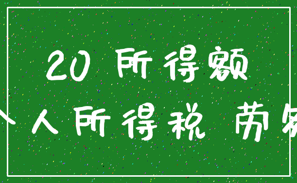 20 所得额_个人所得税 劳务