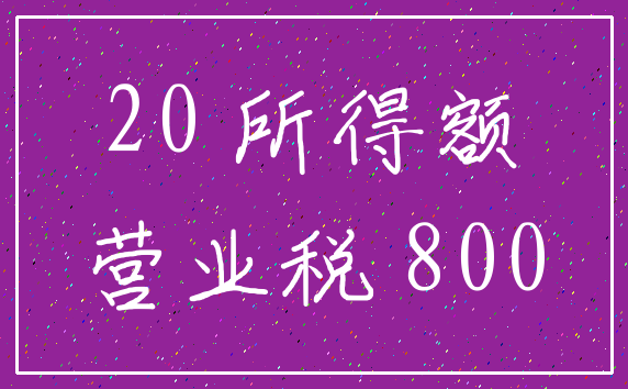 20 所得额_营业税 800