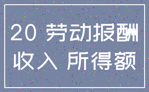 20 劳动报酬_收入 所得额