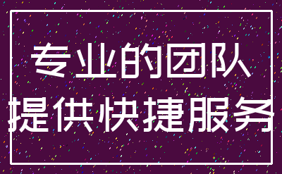 专业的团队_提供快捷服务