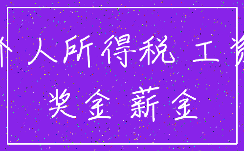 个人所得税 工资_奖金 薪金