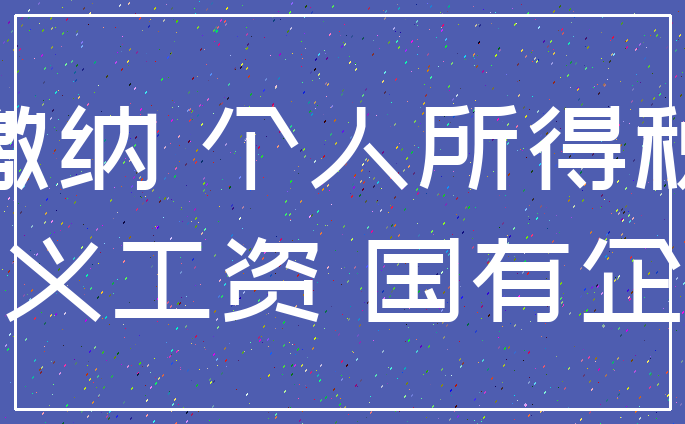 缴纳 个人所得税_名义工资 国有企业