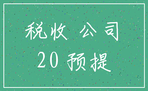 税收 公司_20 预提