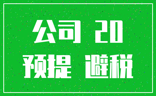 公司 20_预提 避税