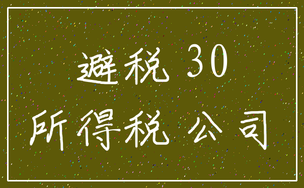 避税 30_所得税 公司