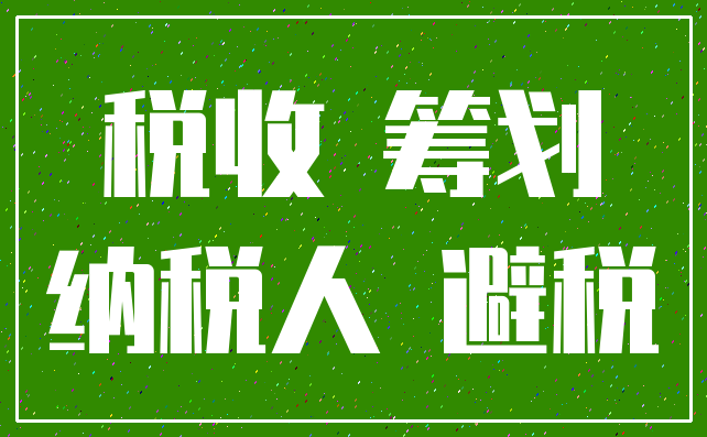 税收 筹划_纳税人 避税