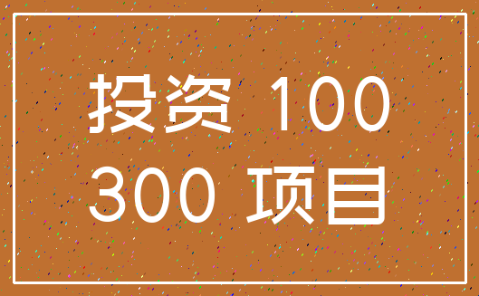 投资 100_300 项目