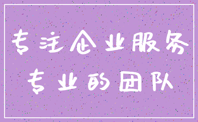 专注企业服务_专业的团队