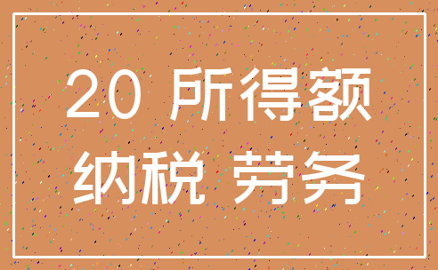 20 所得额_纳税 劳务