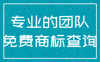 专业的团队_免费商标查询