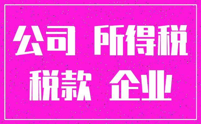 公司 所得税_税款 企业