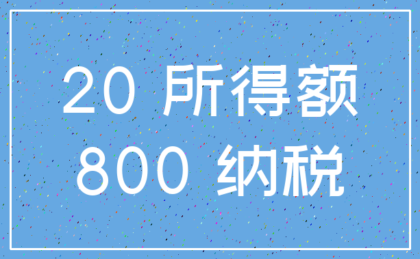 20 所得额_800 纳税