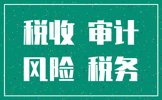 税收 审计_风险 税务