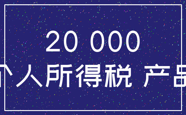 20 000_个人所得税 产品