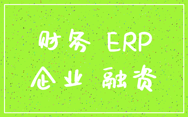 财务 ERP_企业 融资