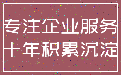 专注企业服务_十年积累沉淀