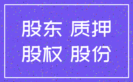 股东 质押_股权 股份