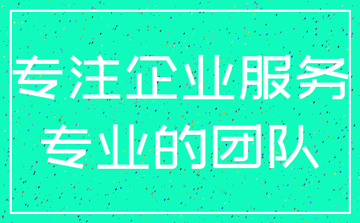 专注企业服务_专业的团队