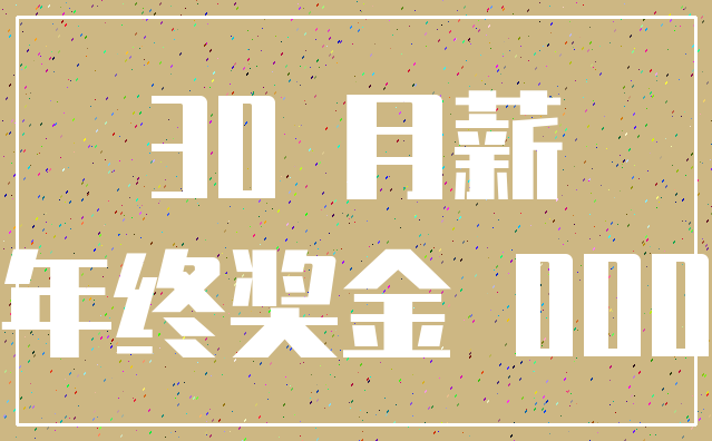 30 月薪_年终奖金 000