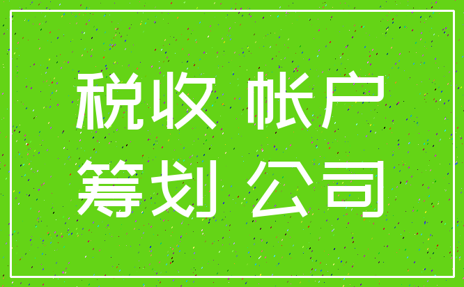 税收 帐户_筹划 公司