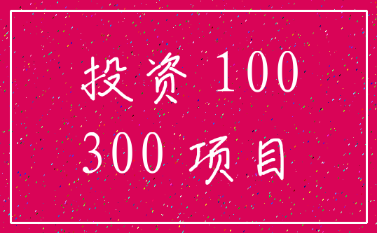 投资 100_300 项目