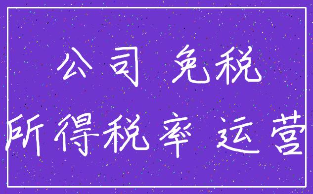 公司 免税_所得税率 运营