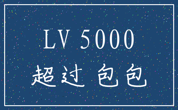 LV 5000_超过 包包