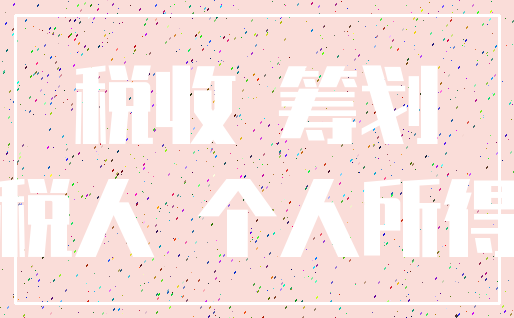 税收 筹划_纳税人 个人所得税