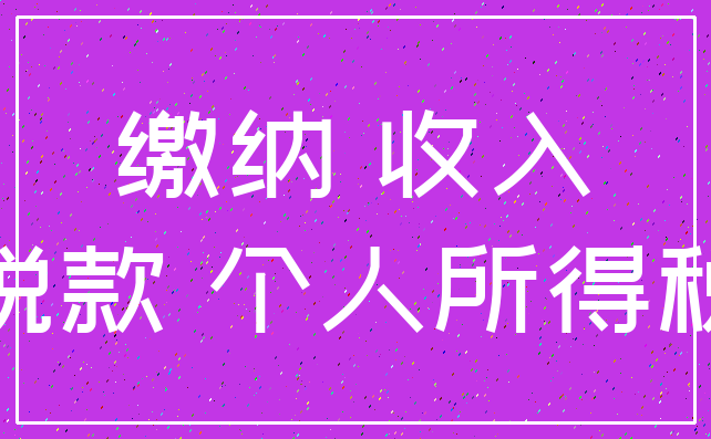 缴纳 收入_税款 个人所得税