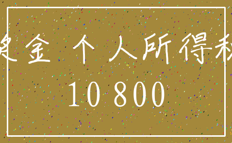 奖金 个人所得税_10 800