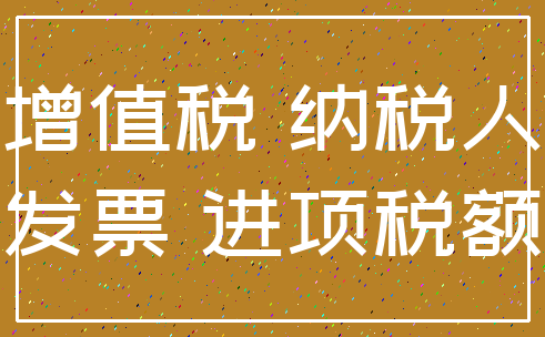 增值税 纳税人_发票 进项税额