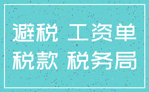 避税 工资单_税款 税务局