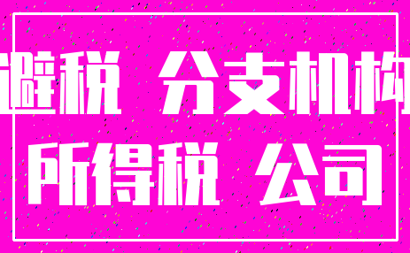 避税 分支机构_所得税 公司