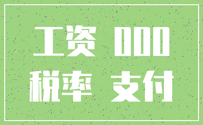 工资 000_税率 支付