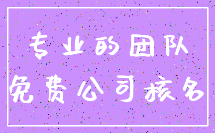 专业的团队_免费公司核名