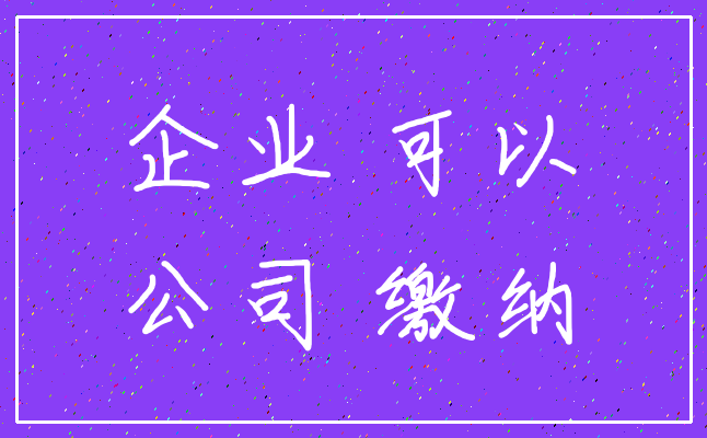 企业 可以_公司 缴纳